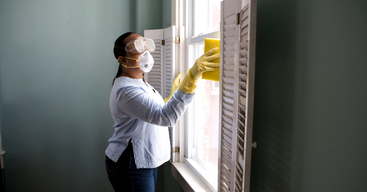 The Importance of Regular Home Cleaning